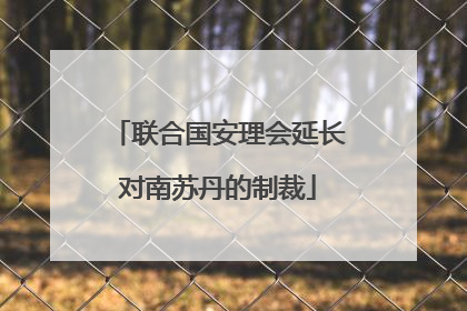 联合国安理会延长对南苏丹的制裁